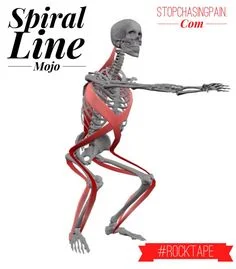 SPL squat .jpg