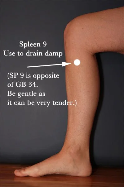 spleen 9 acupuncture.jpg