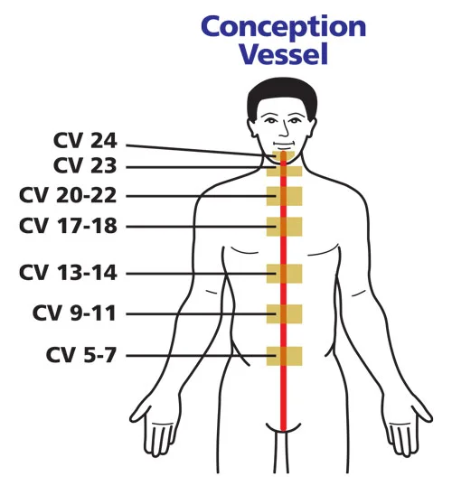 stomach meridian