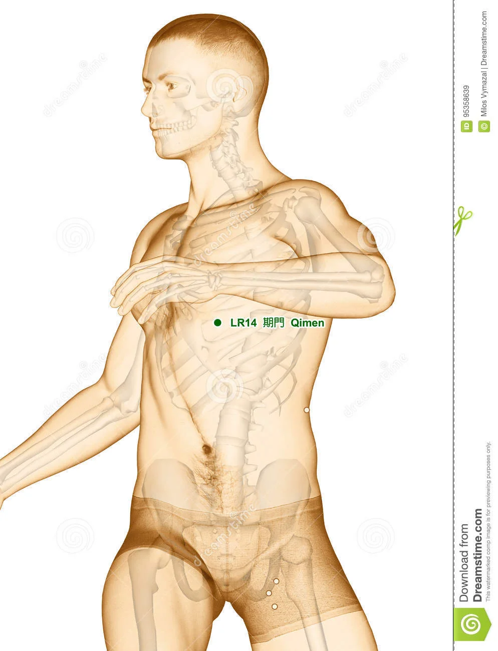 LR14 point.jpg