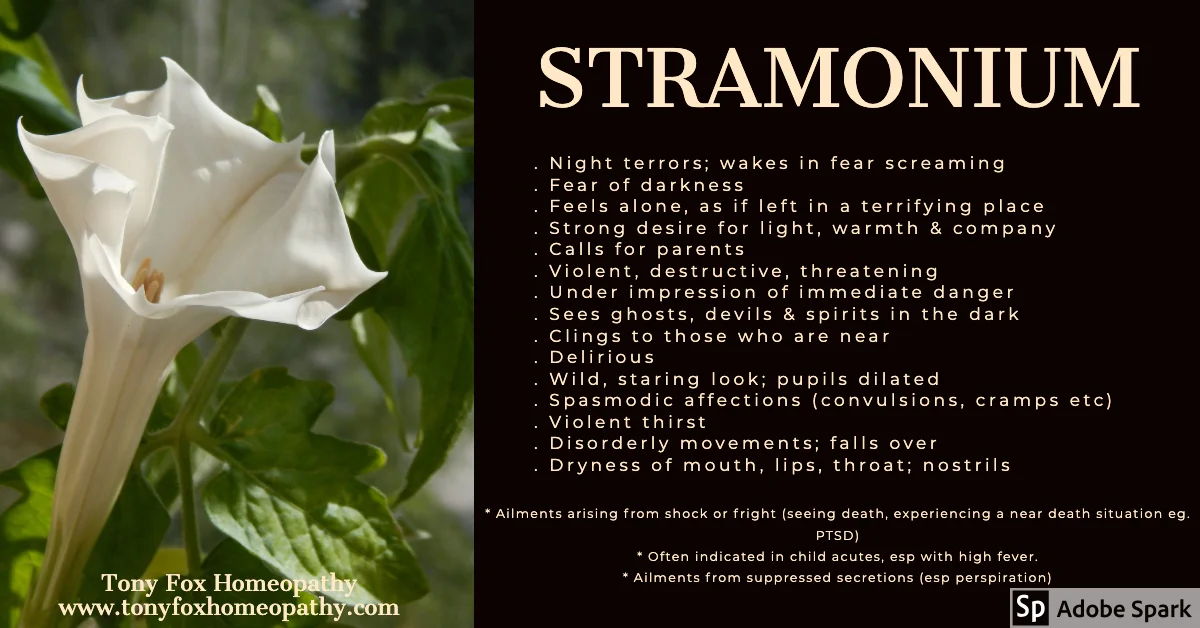 Stramonium.jpg