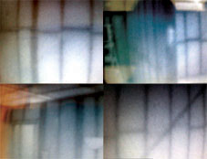 The white patch in the top right picture demonstrates a hot spot of termite activity.
