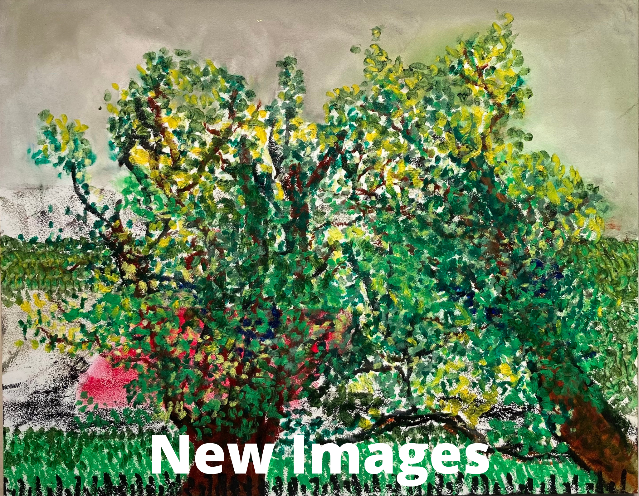 New Images.png