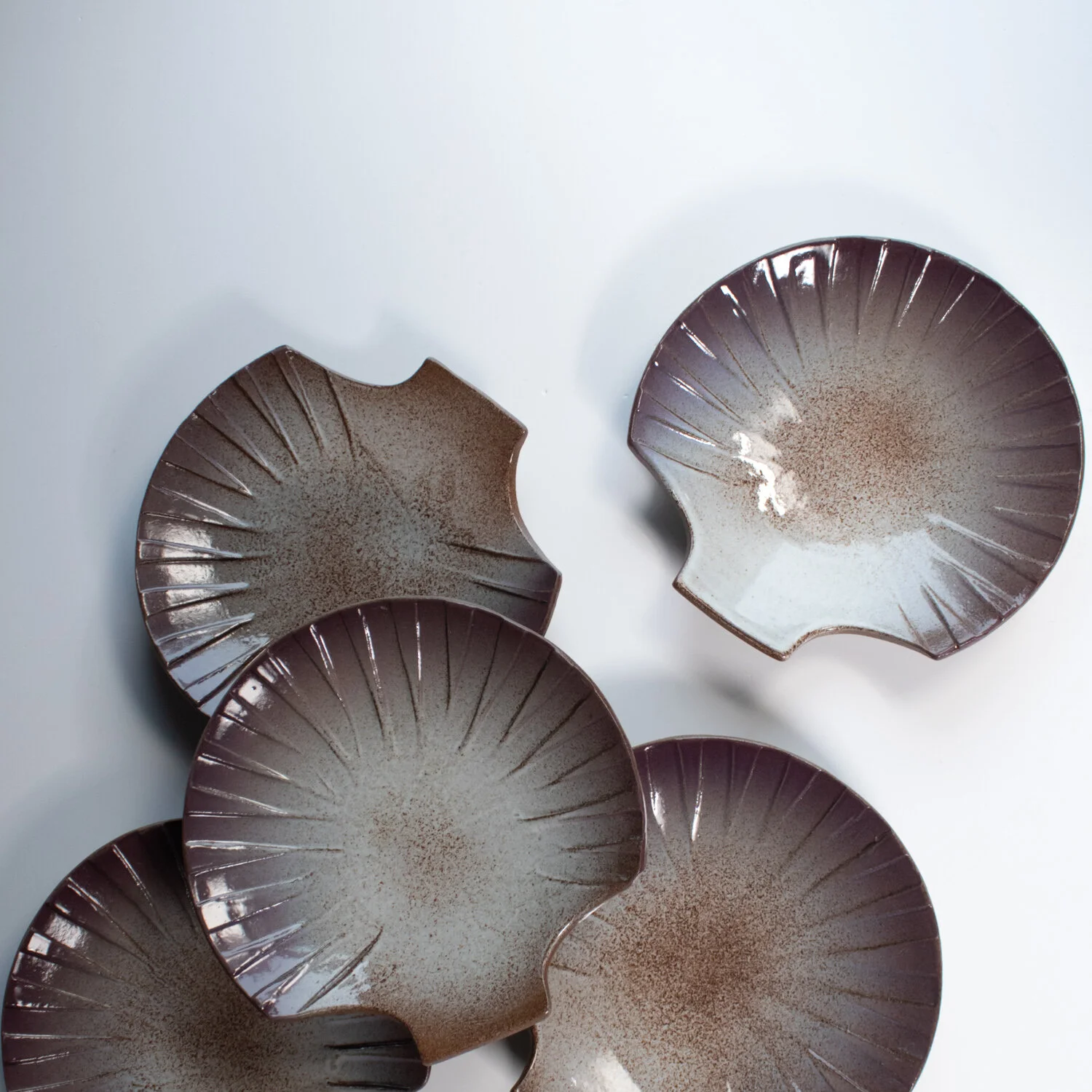 Scallop plates for scallops.