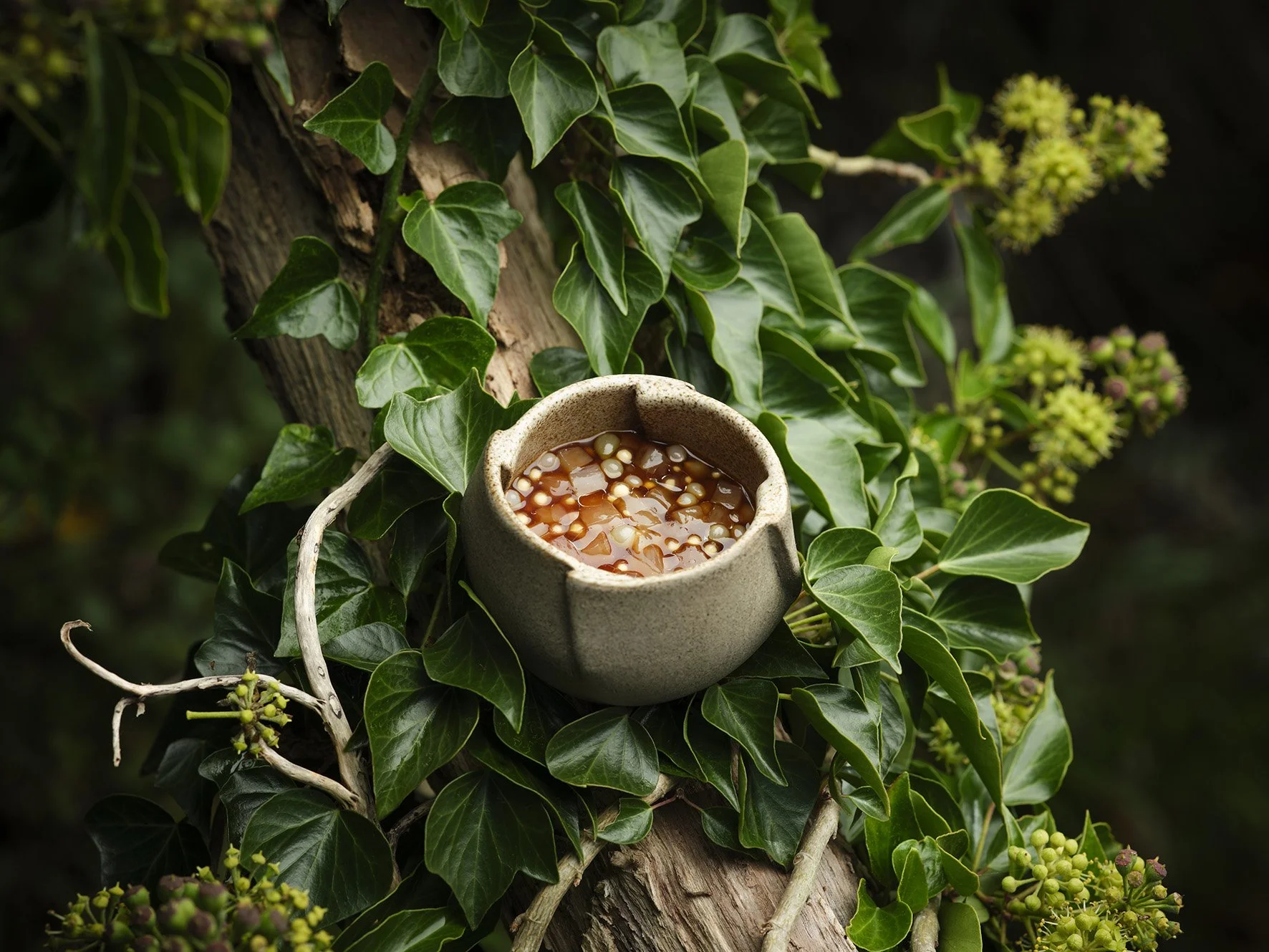 Restaurant L'Enclume  (photo Cris Barnett) (8) lite.jpg