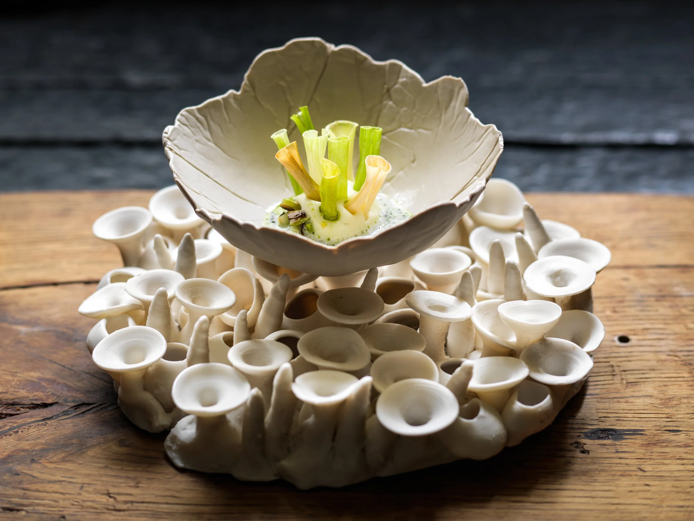 leek_pick_roe_2332 (1).jpg