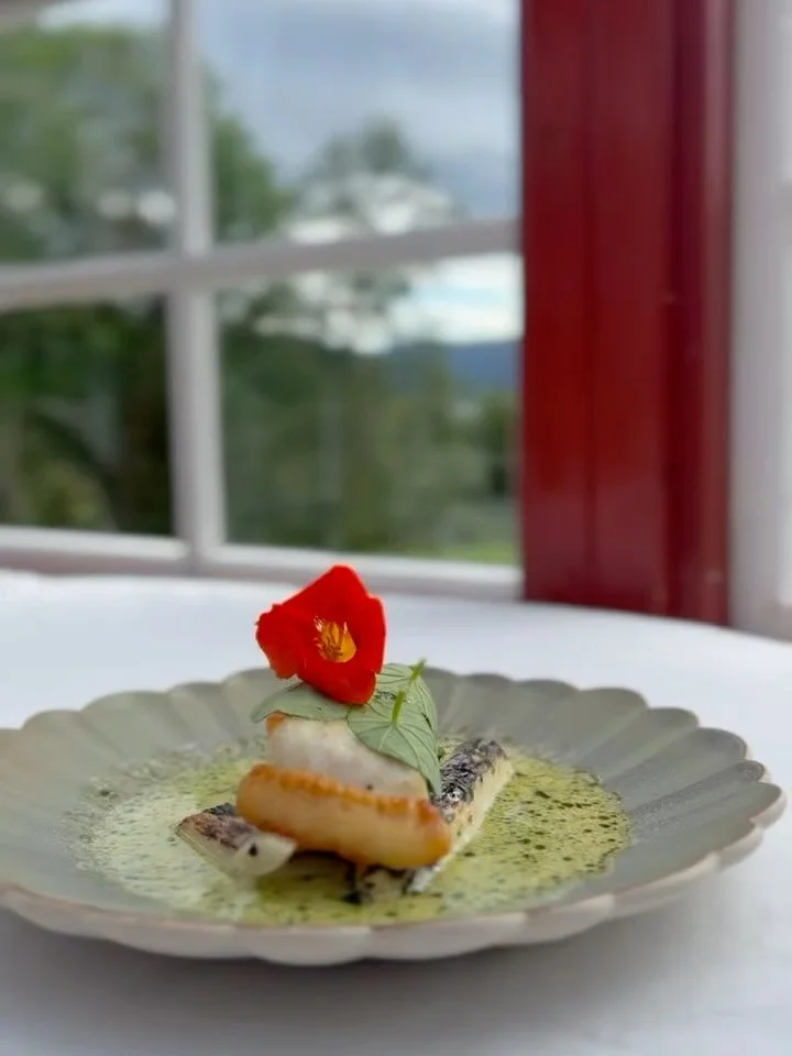 The ELLIS plate at @tileliseframarius - wish we could be there!
__
@mykenisland Fra Myken + Til Marius &ndash; Magisk Aften i Utskarpen

📅 Dato: 24. april
🕕 Tid: 18:00
📍 Sted: Utskarpen
💰 Pris:1595,-

Bli med p&aring; en helt unik smaksopplevelse