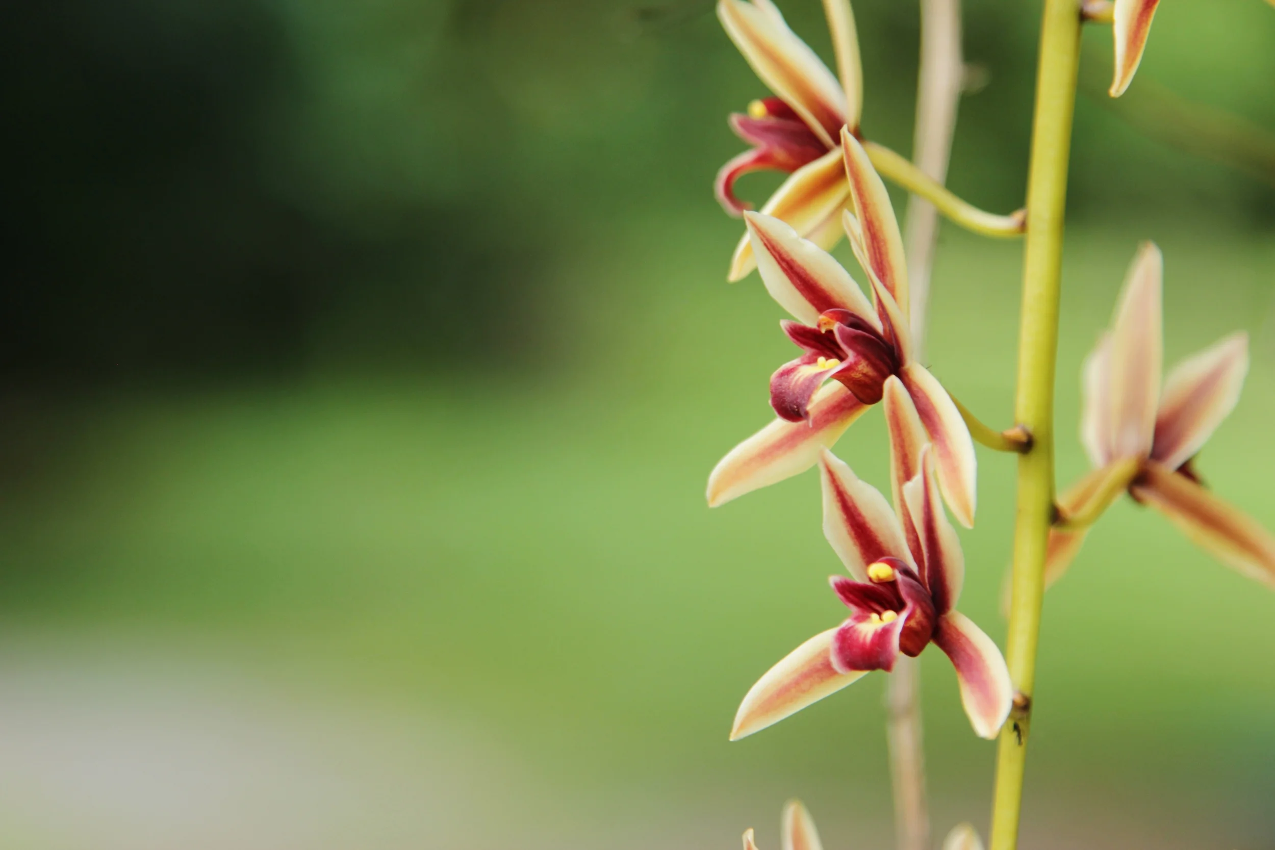 Snapchat Travels in Port Douglas