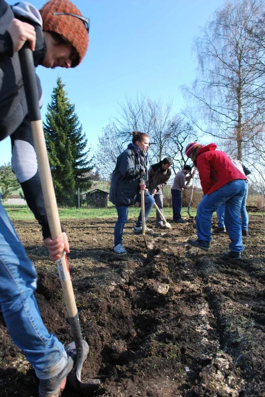 10seedcity_20.03.2011.jpg