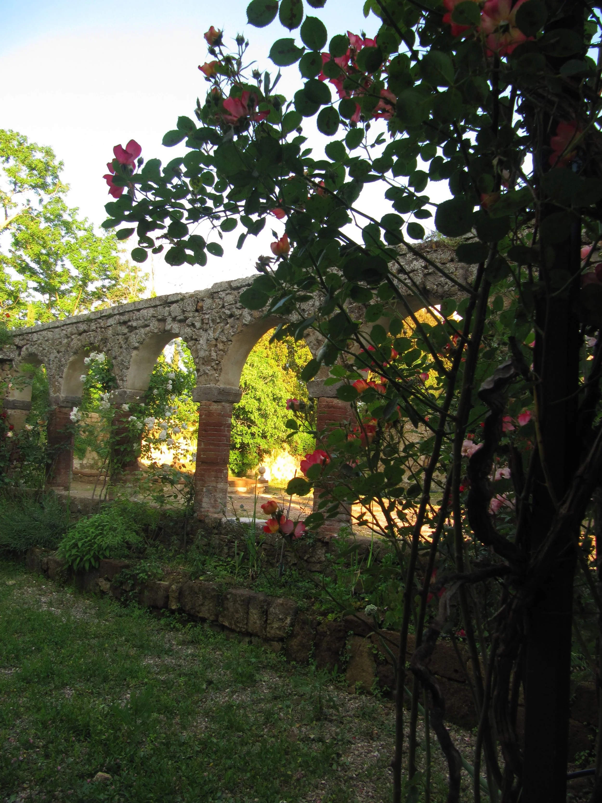 IMG_5247.jpg