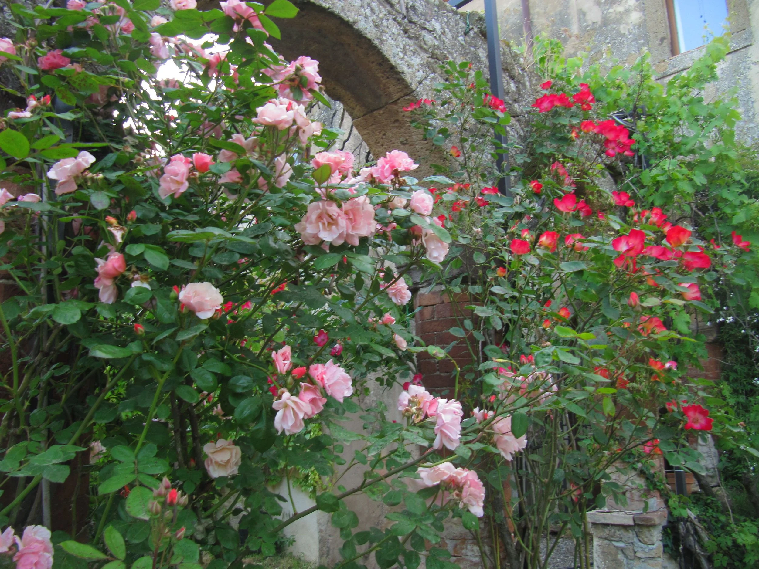 IMG_5259.jpg