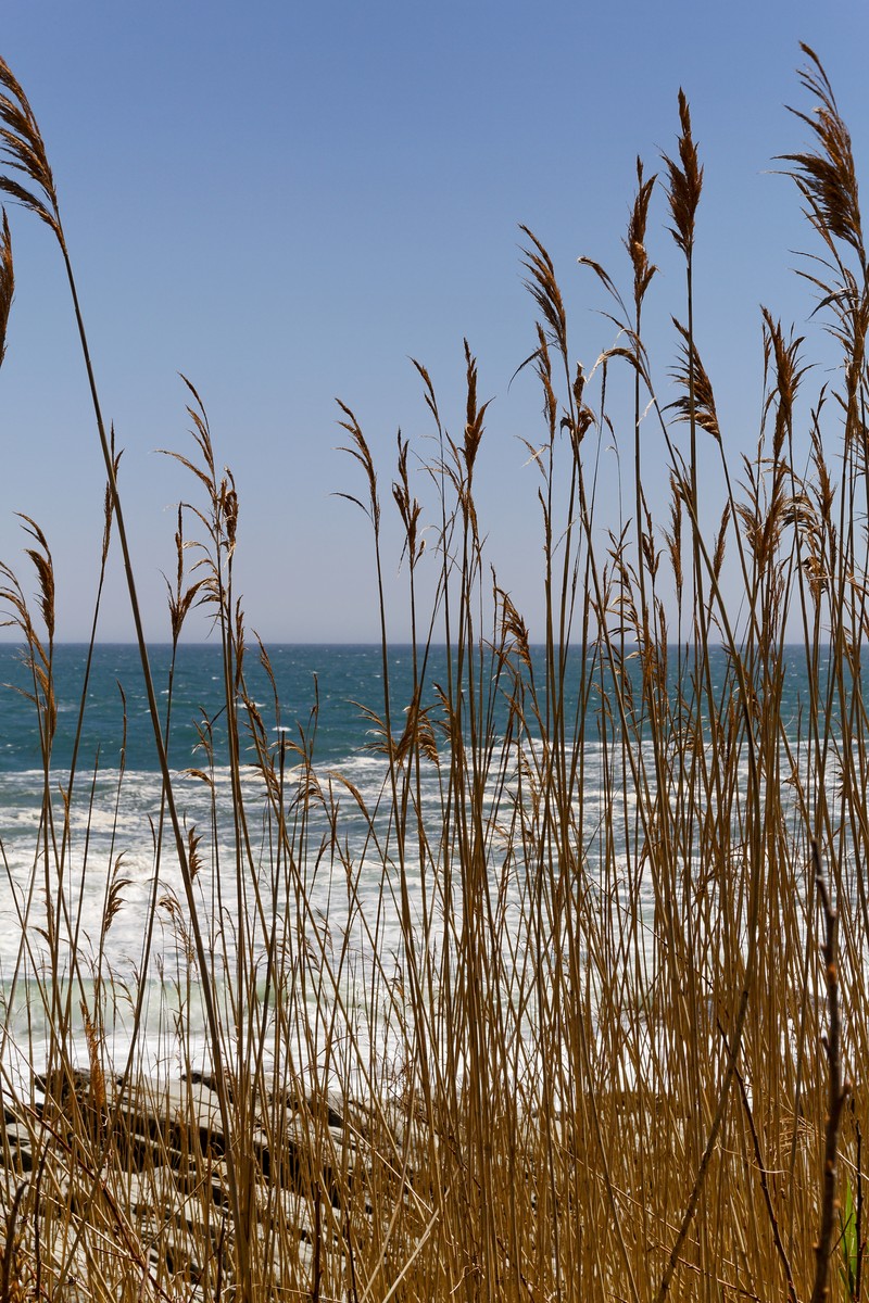 IMG_7651_DxO.jpg