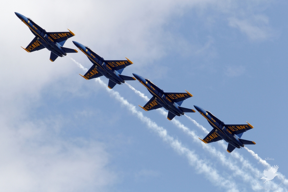 The US Navy Blue Angels