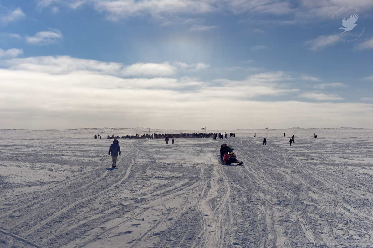Crowd gathering on the ice for the finish of the Ivakkak dog sled race