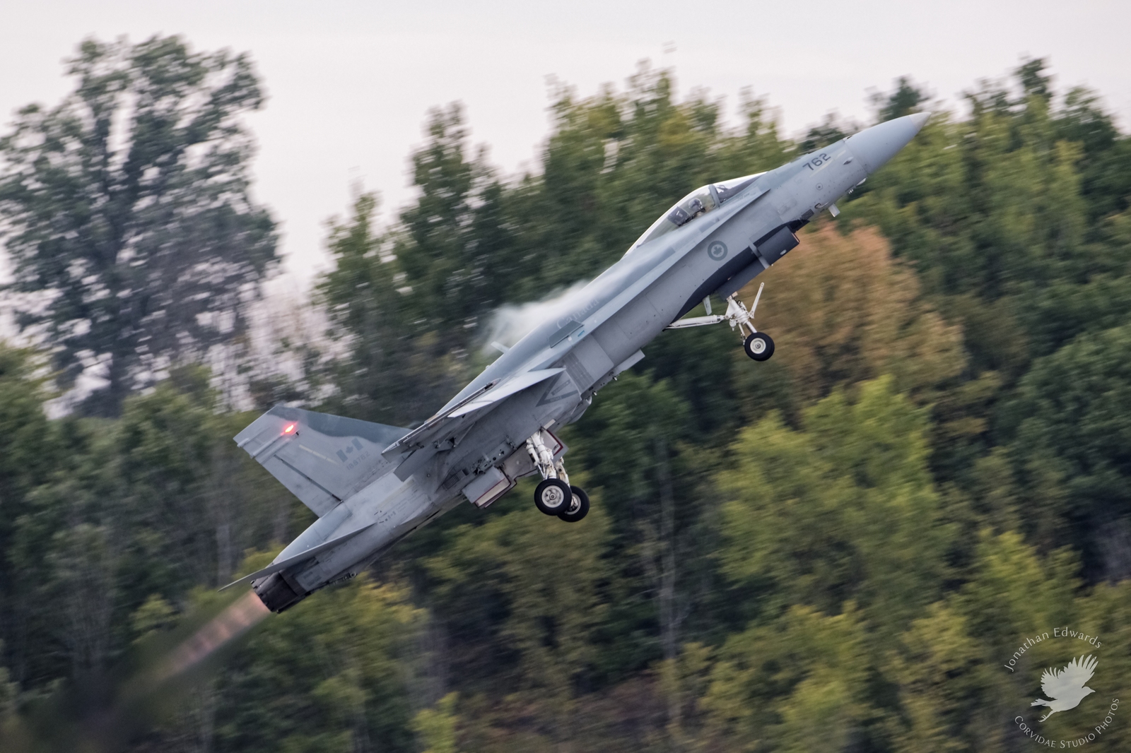 459A0152_wm.jpg
