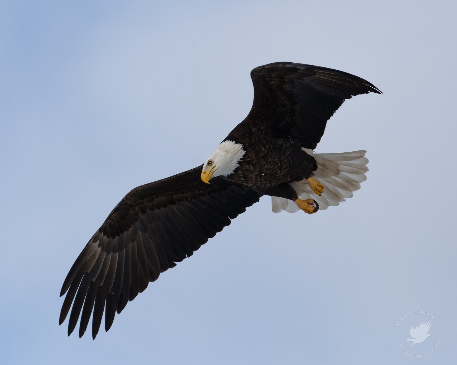IMG_1421_wm.jpg