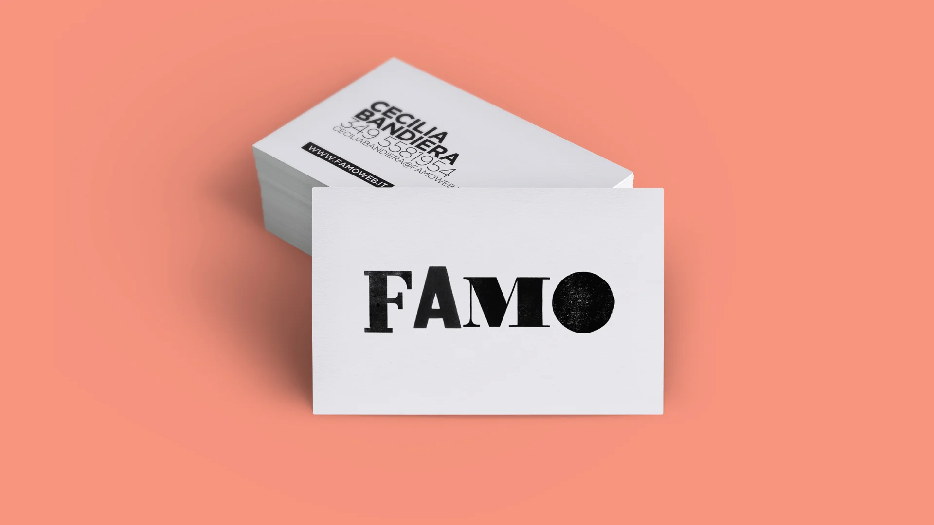 NOAO_FAMO 13.jpg