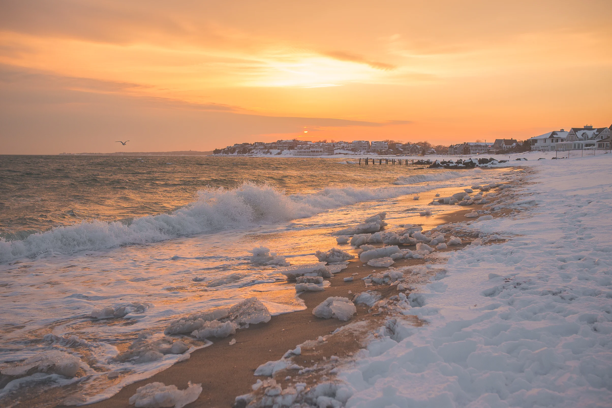 Life Unscripted | Vol. 7