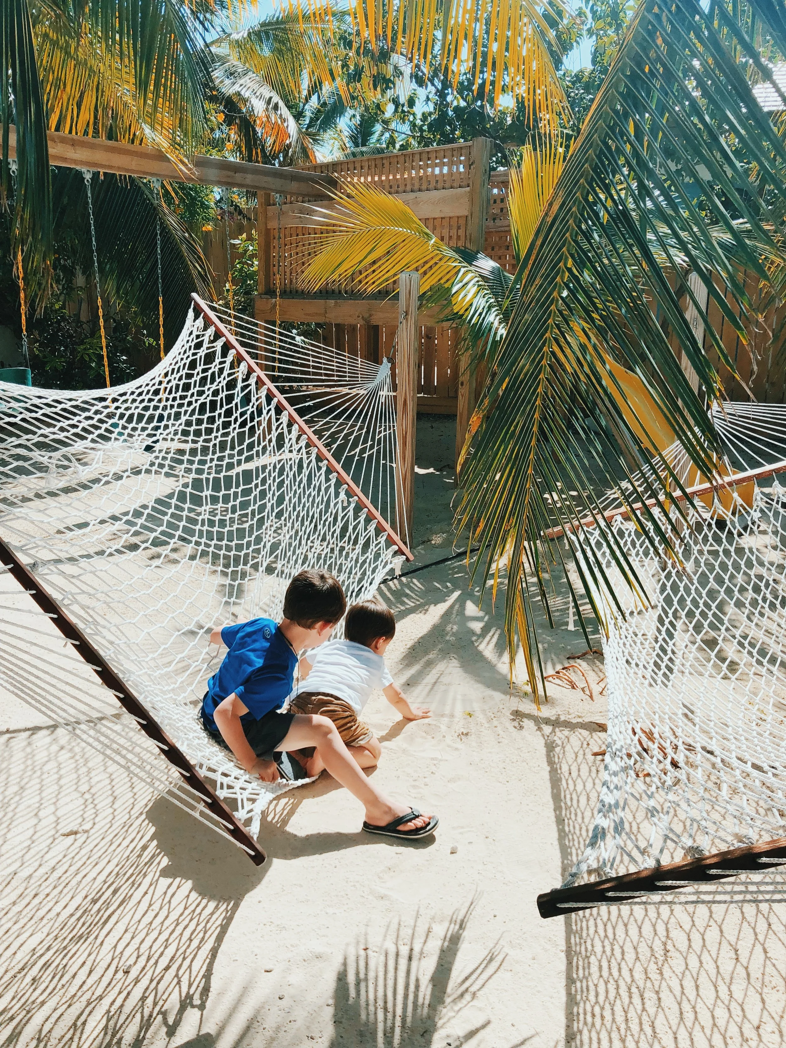 Hammocks by the pool