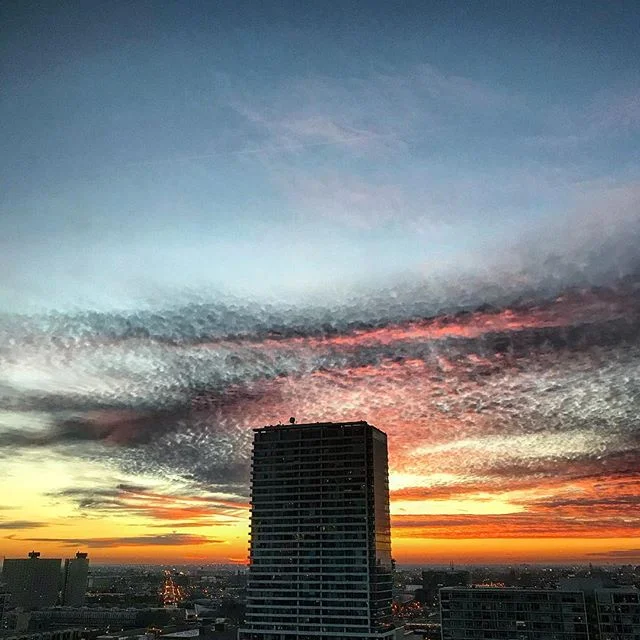 hope everyone had a good holiday✌🏼🦃🥂#chitown