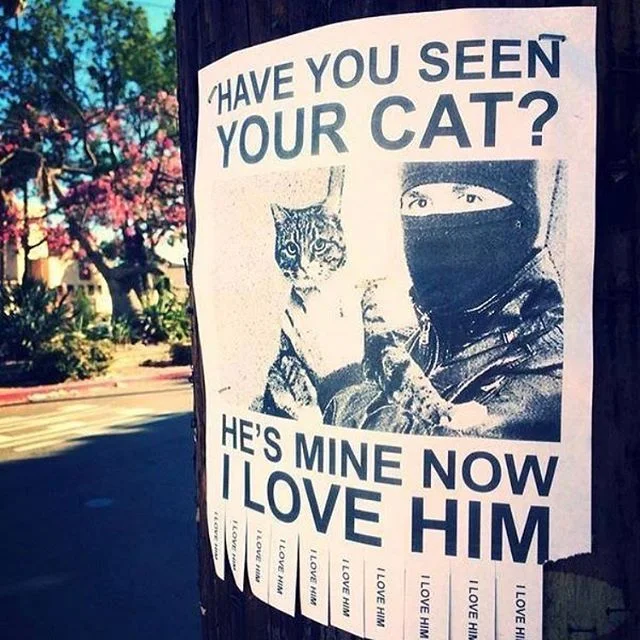 genius #cats #catsofinstagram #hesminenow