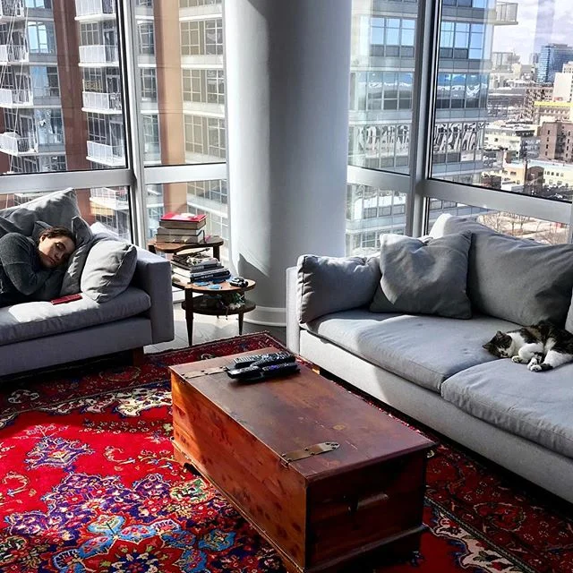 caught my sleeping beauties taking a little #catnap earlier 👸🏻😹💤