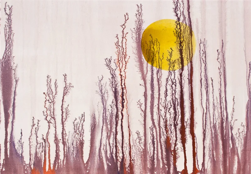 dusk in the fields