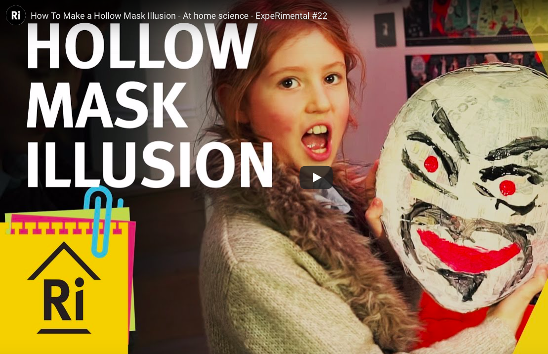 Hollow Mask Illusion