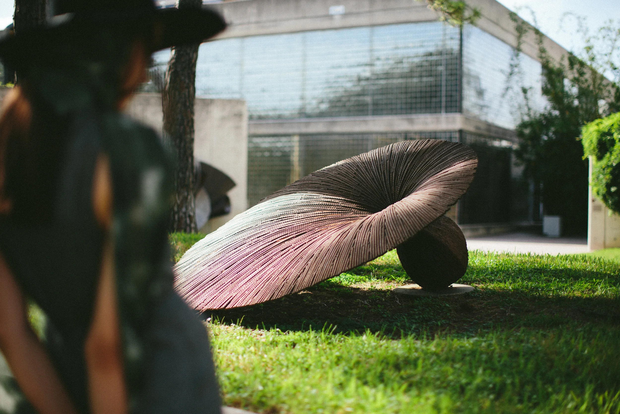 Velvet_Dust_Blur_Editorial_002.jpg