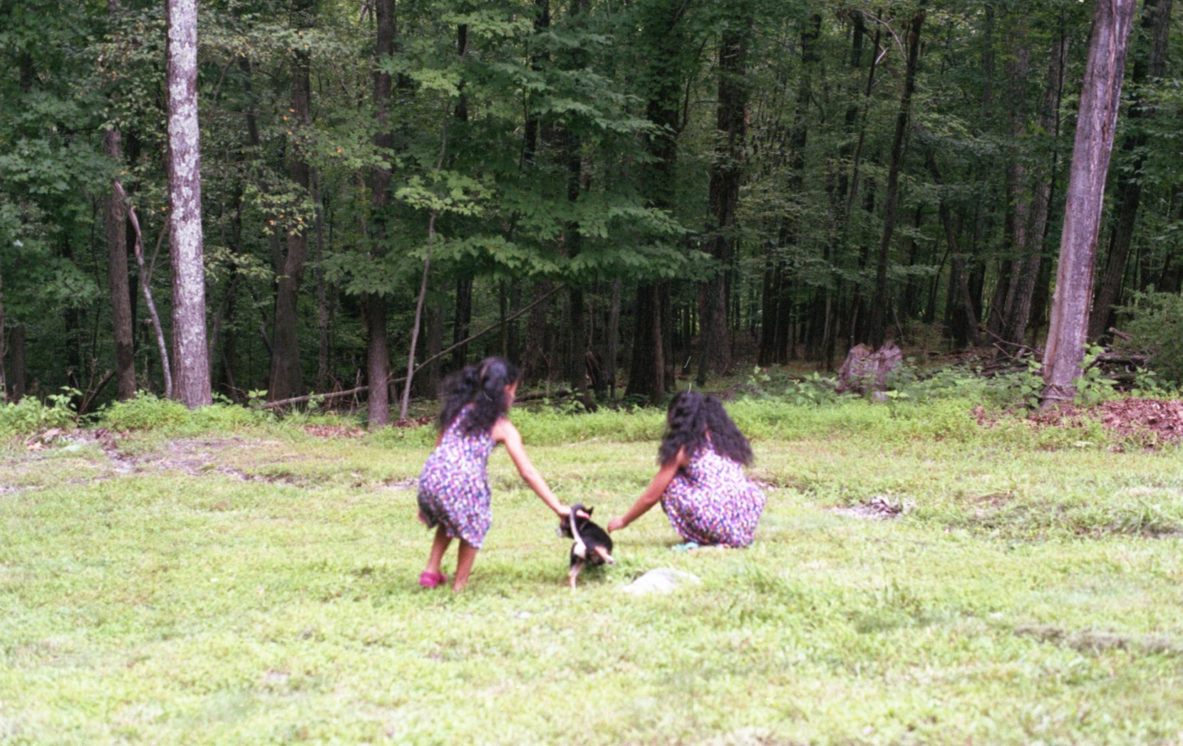 Two young girls in floral dresses playing with a small dog on a grassy area near a wooded forest.