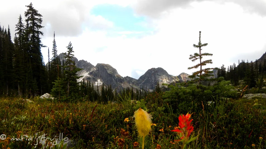 serenity and wild beauty all around