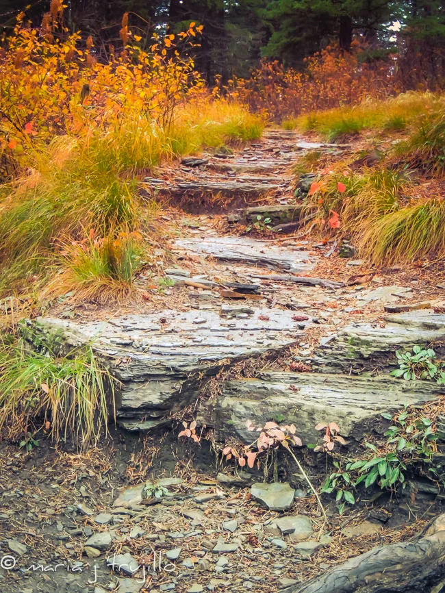 stairs to peace and beauty
