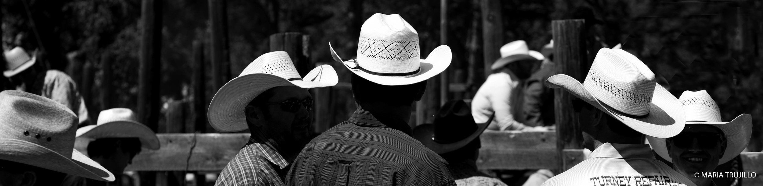 augusta rodeo 2016-7.jpg