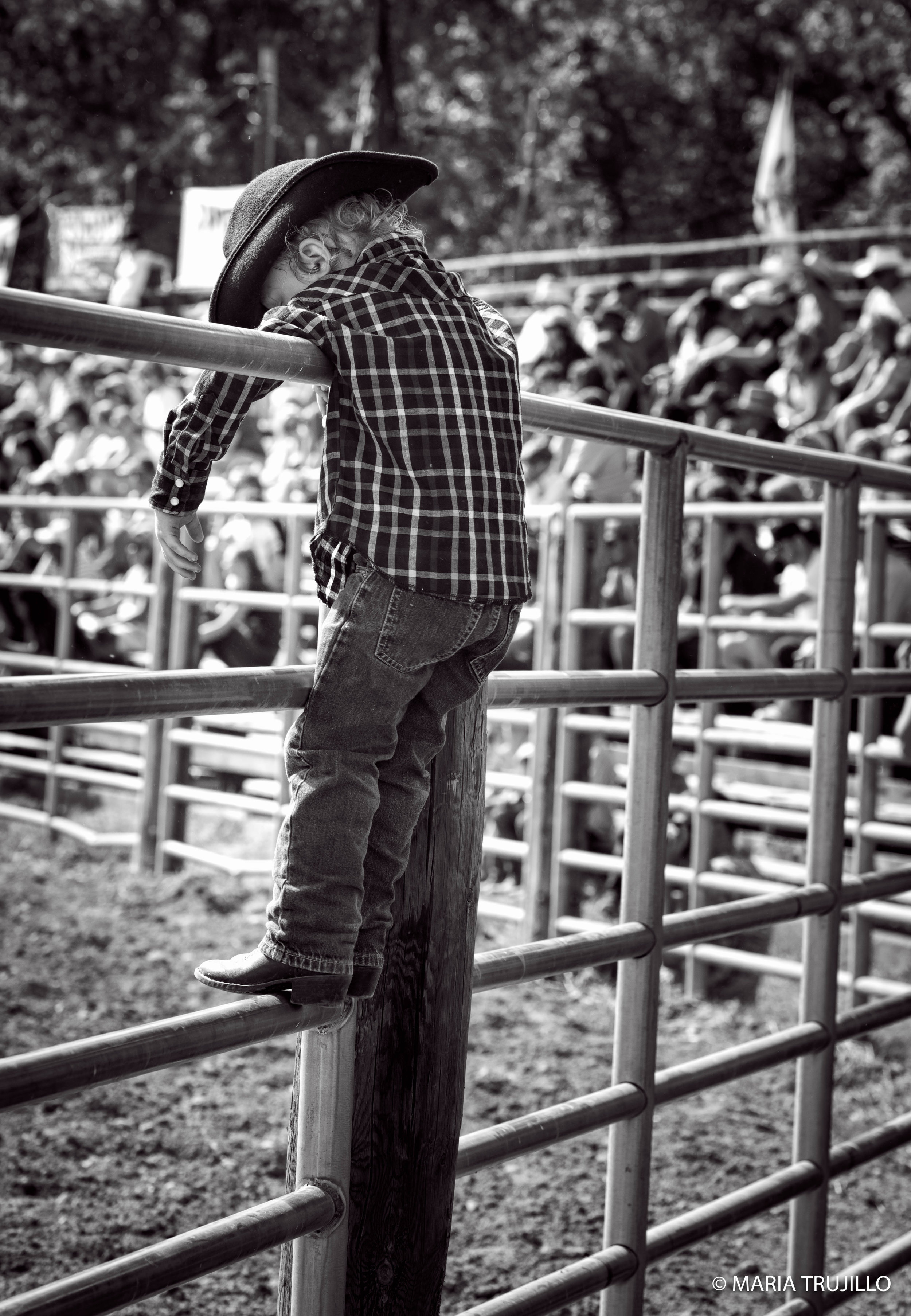 augusta rodeo 2016-11.jpg