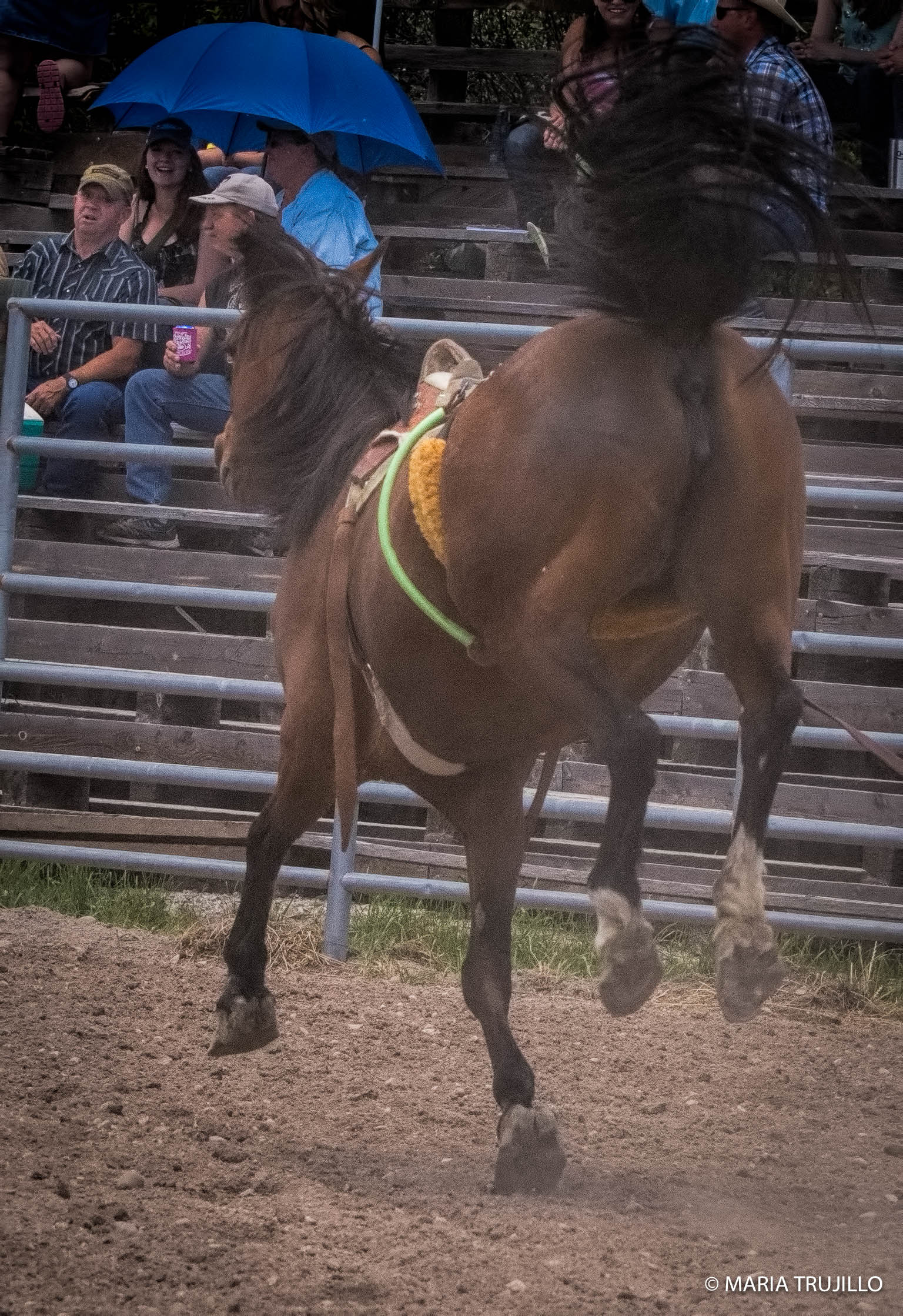 augusta rodeo 2016-29.jpg