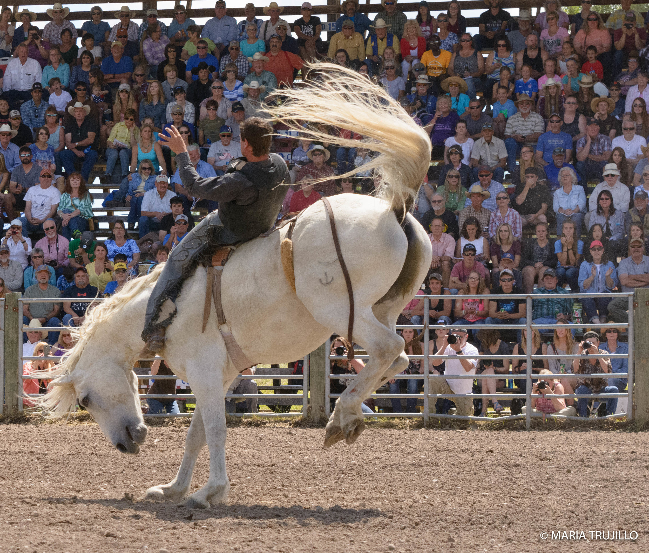 augusta rodeo 2016-44.jpg