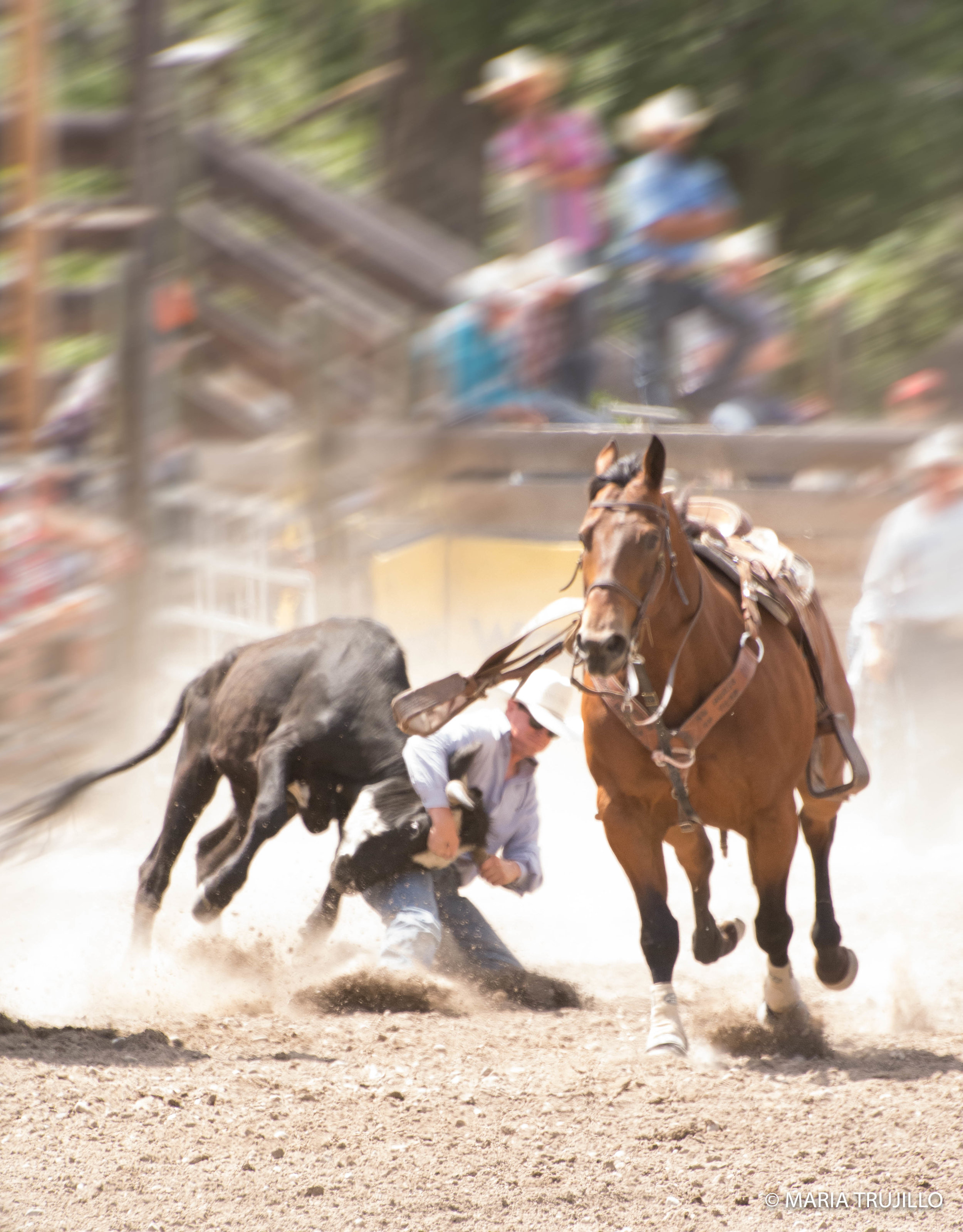 augusta rodeo 2016-49.jpg