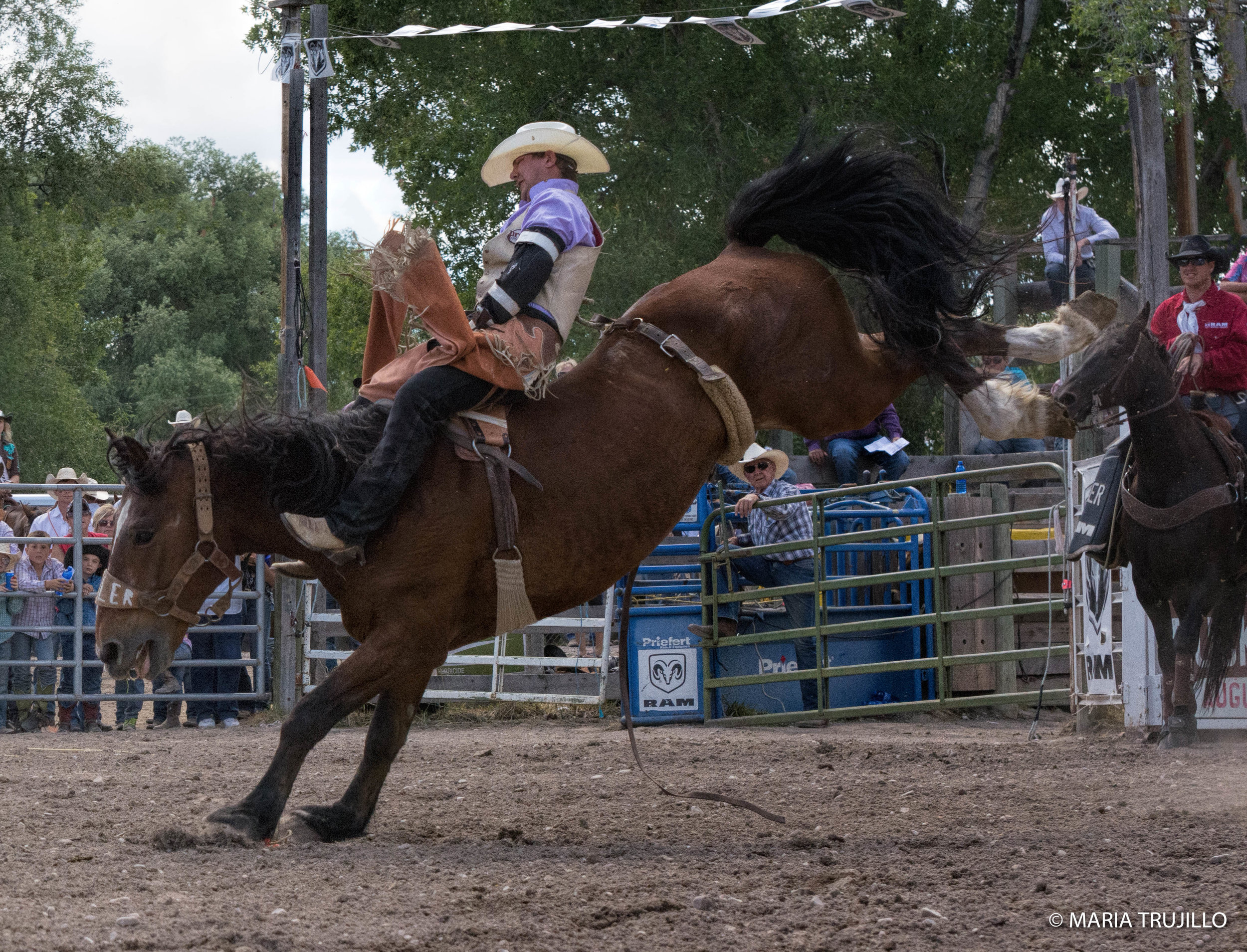 augusta rodeo 2016-37.jpg