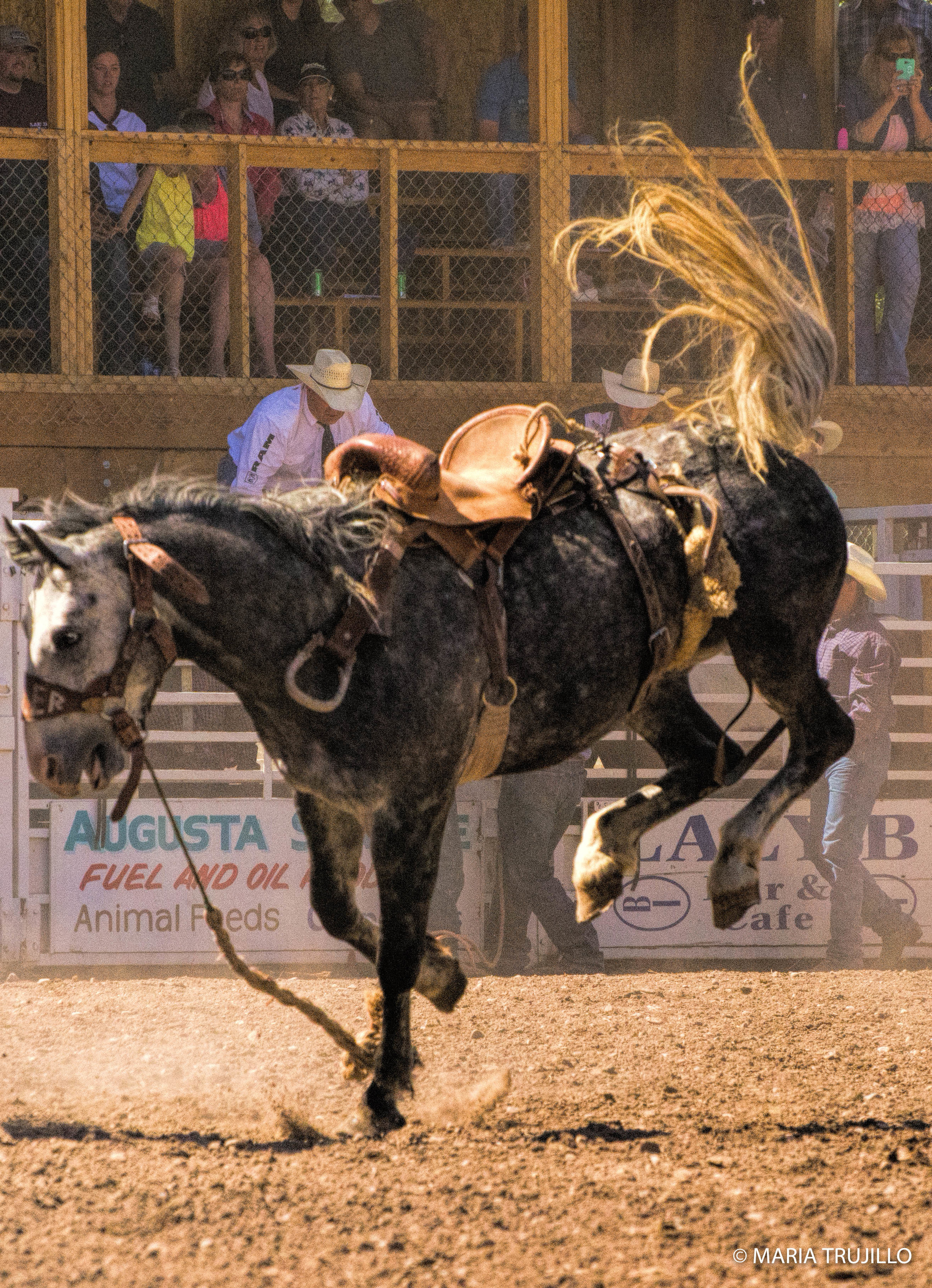 augusta rodeo 2016-57.jpg