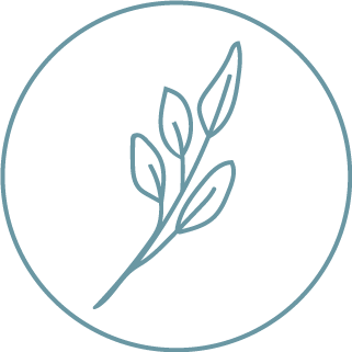 NatWellnessSF_WebAssets_Leaf.png