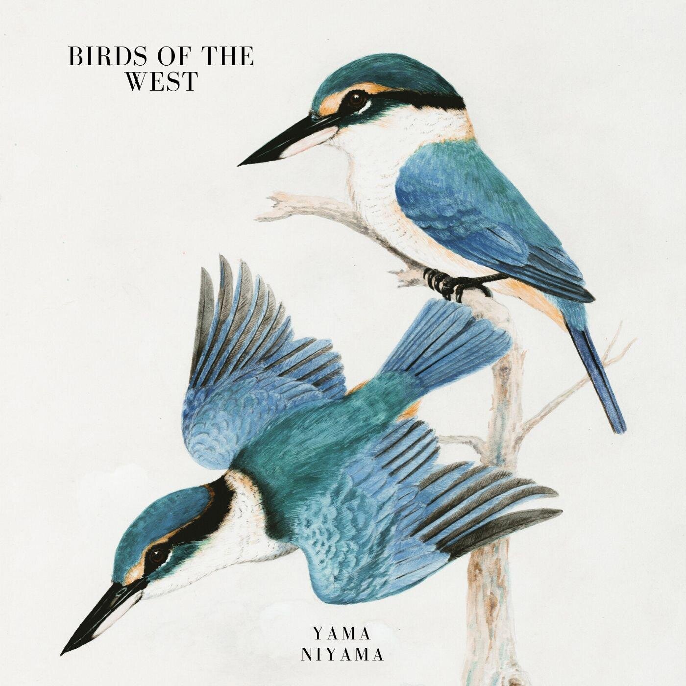   Birds Of The West - Yama    Flute Seb Zillner   © 2020 PLYGRND  Listen on Spotify  