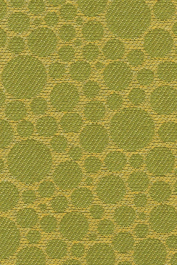 Effervescent_Lizard_150.jpg