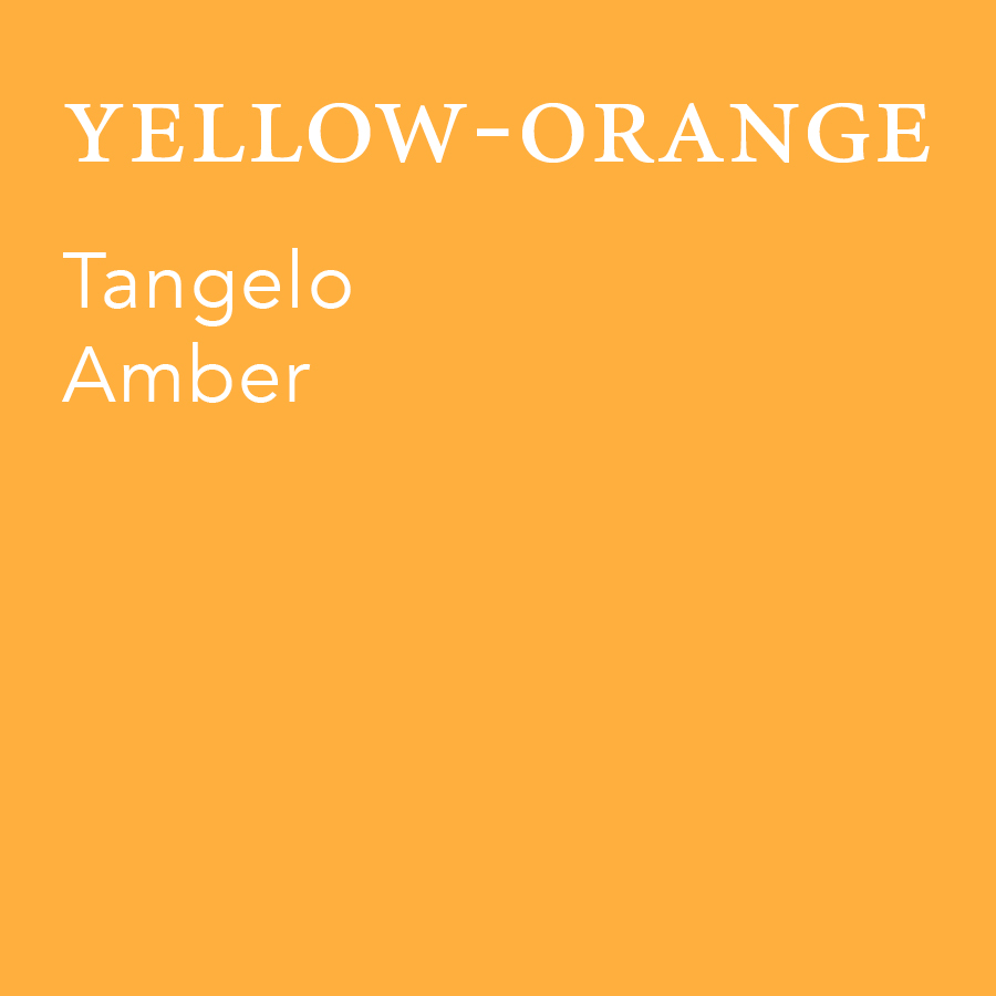 Yellow-Orange.jpg