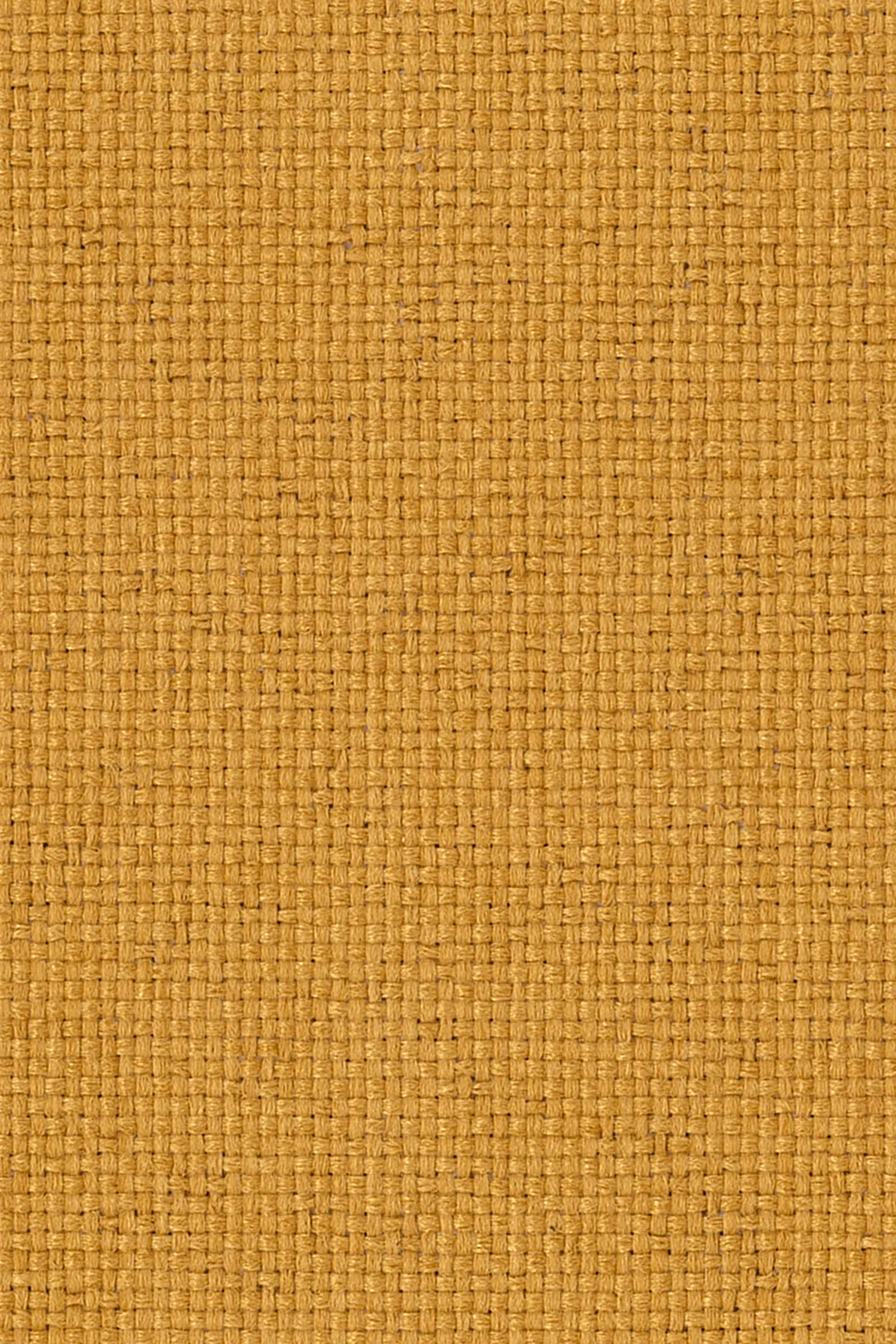 Sherpa_Amber copy.jpg