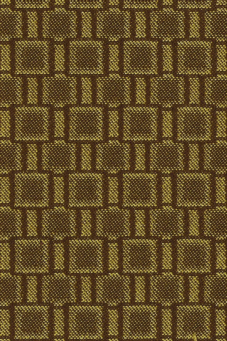 Tetrus_Gator_150.jpg