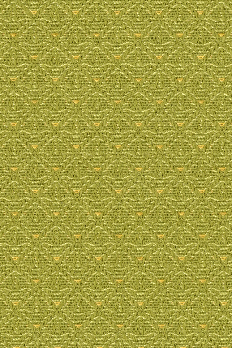 Parlour_TreeFrog_150.jpg