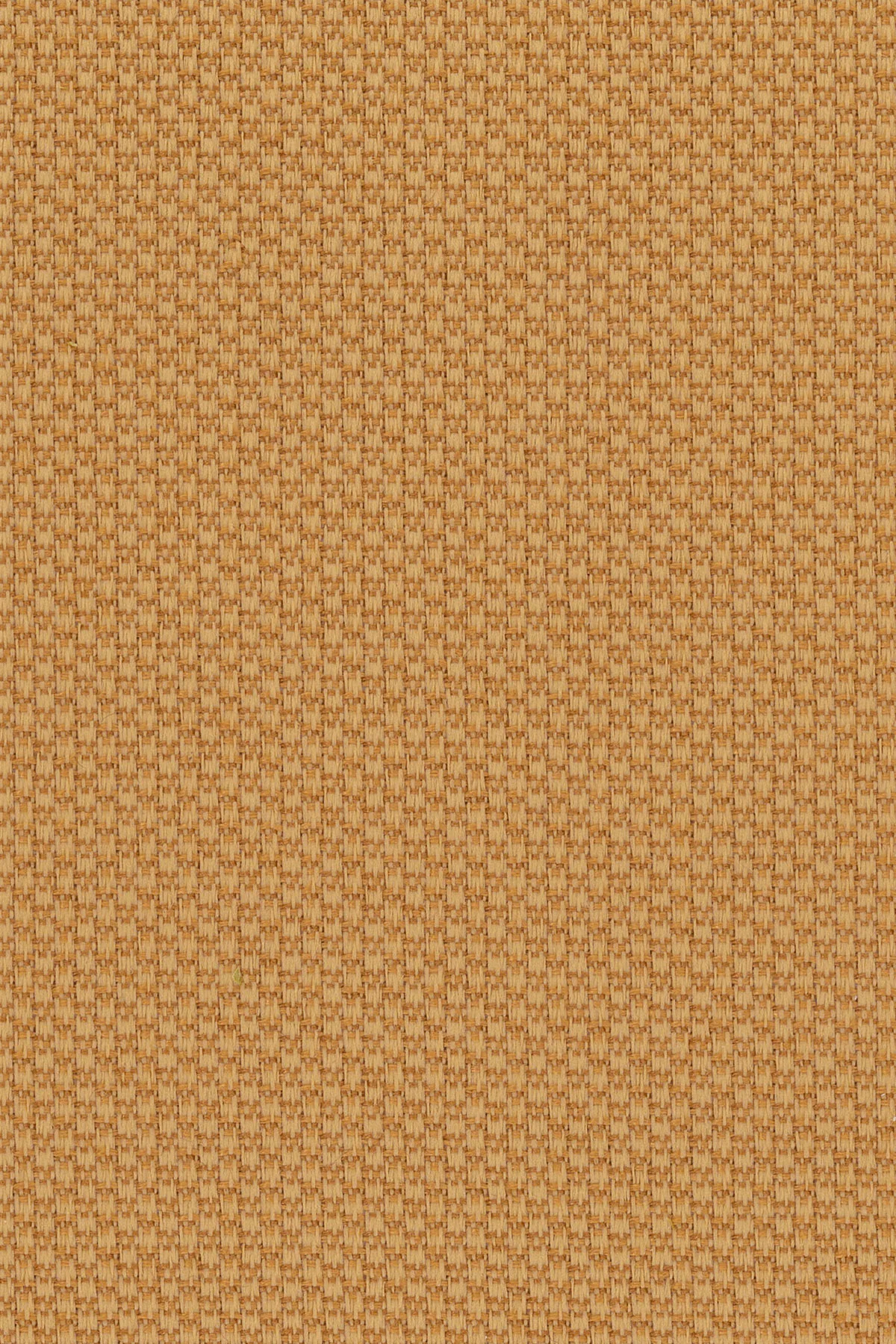 hopsack-toast.jpg