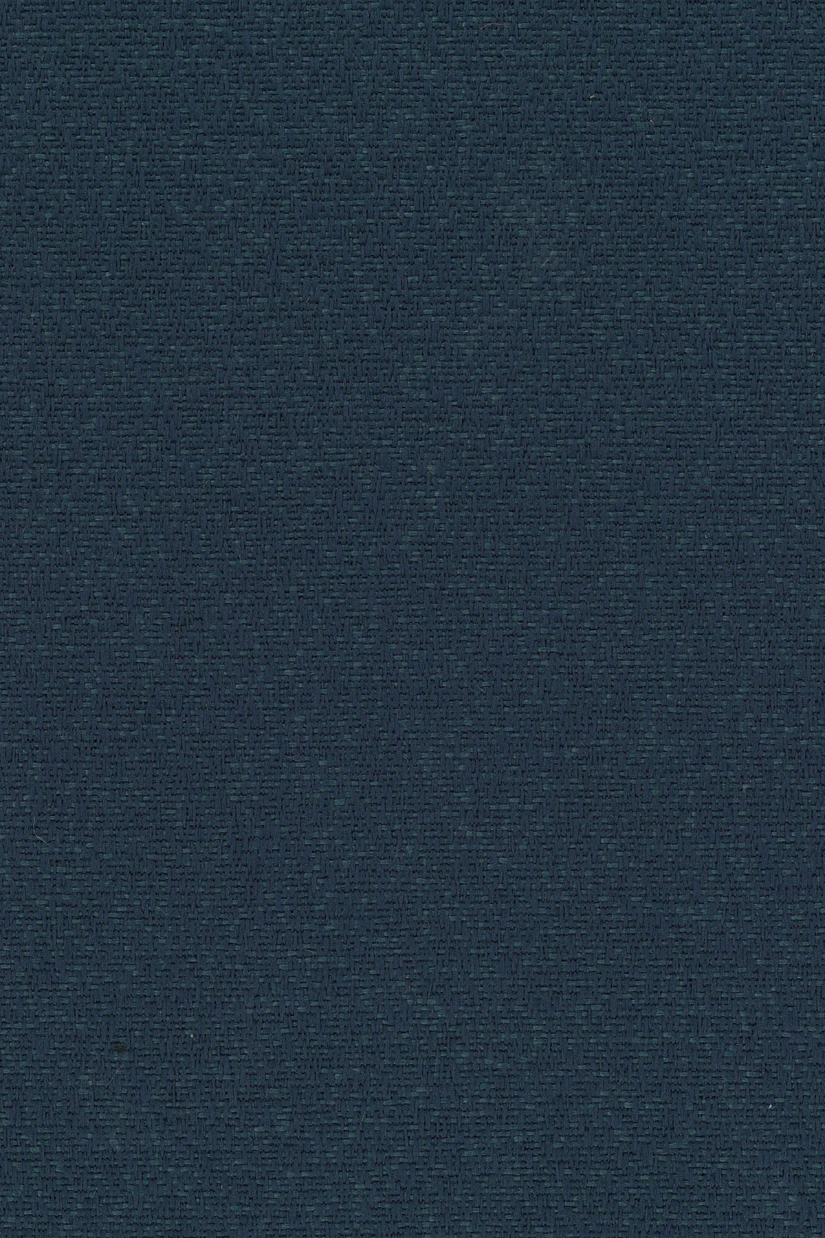craze-bluejay.jpg