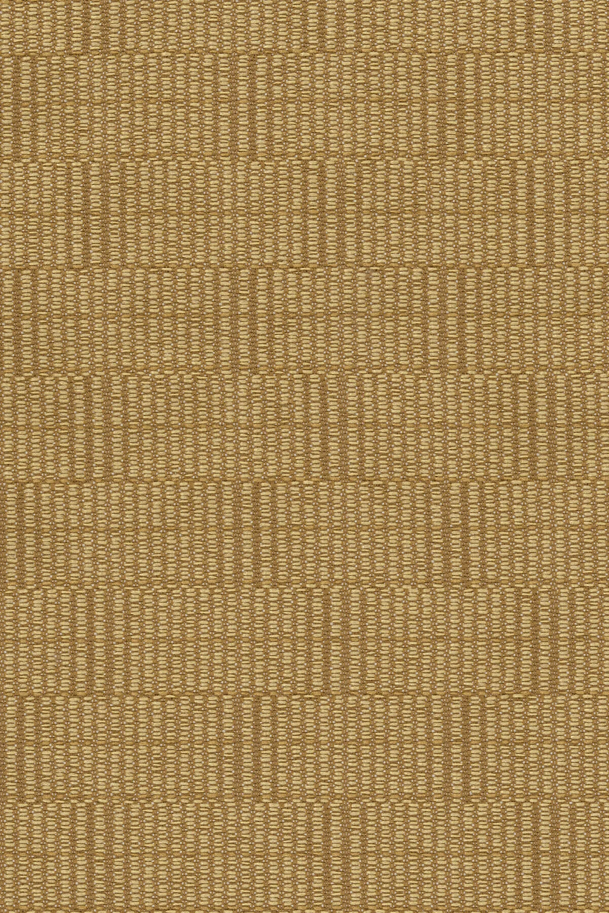Corridor - Barley