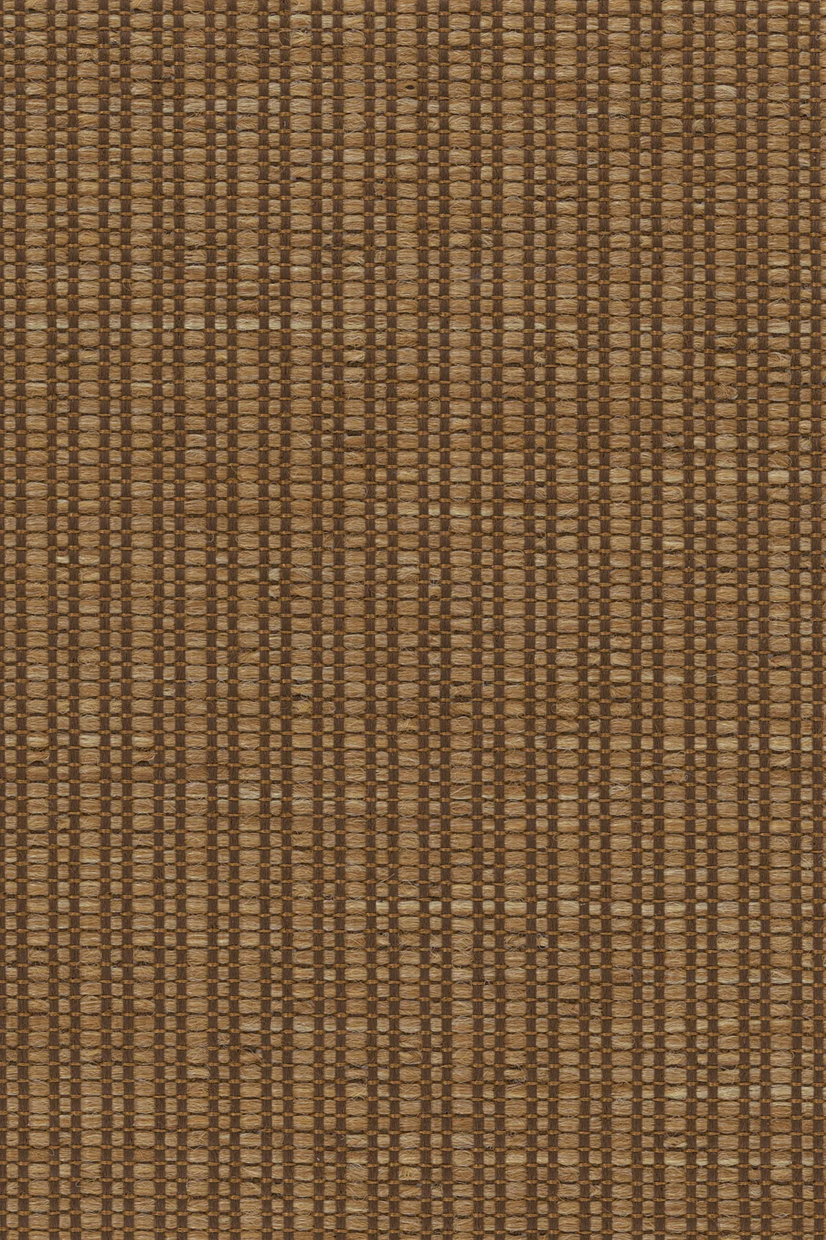 groove-maple-sugar.jpg